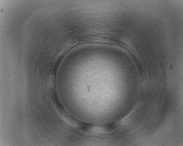 X0000063530171200601271910