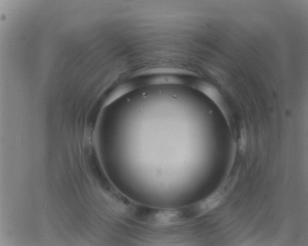 X0000063530172200601271910