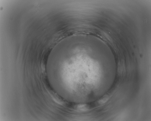 X0000063530173200601271910