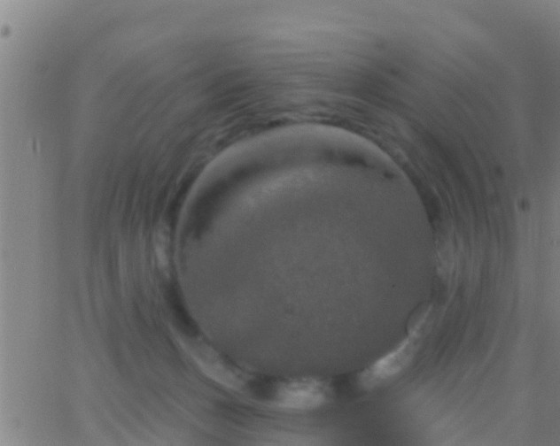 X0000063530175200601271910