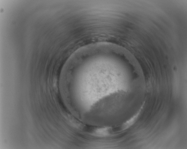 X0000063530178200601271910