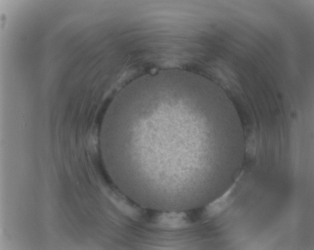 X0000063530179200601271910