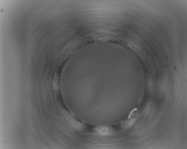 X0000063530181200601271910