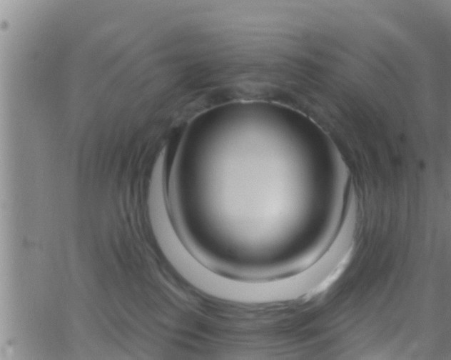 X0000063530186200601271910