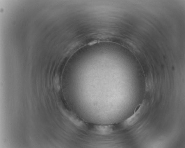 X0000063530187200601271910