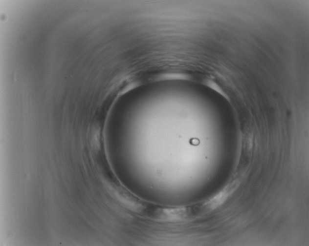 X0000063530188200601271910