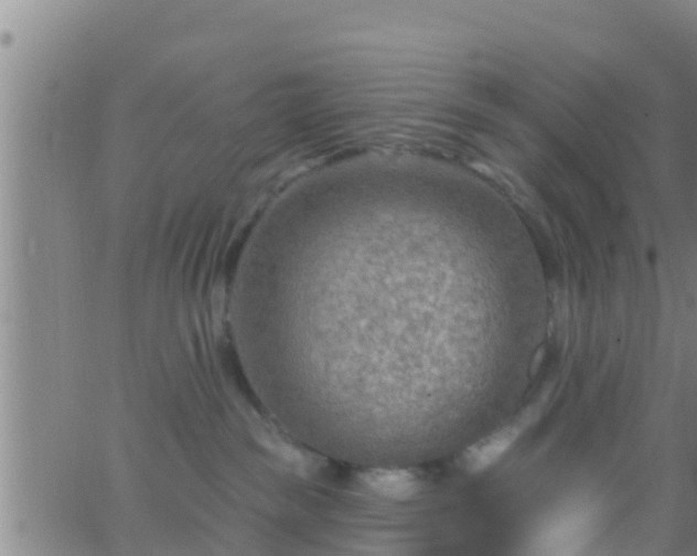 X0000063530189200601271910