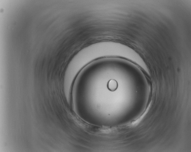 X0000063530190200601271910