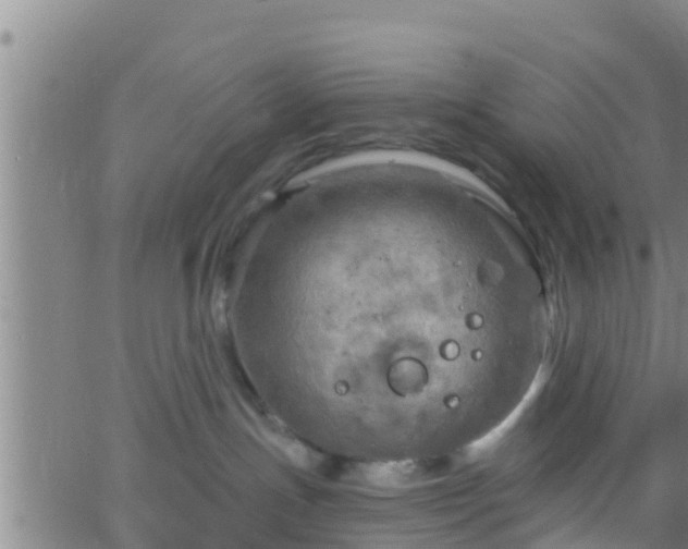 X0000063530191200601271910