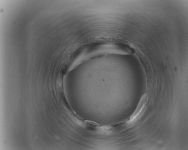 X0000063530192200601271910