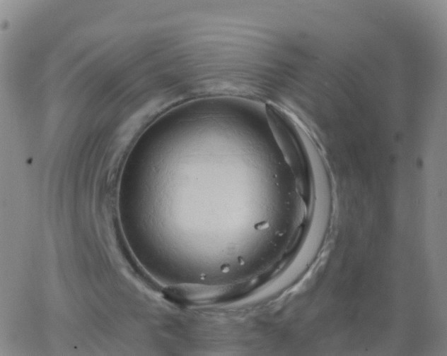 X0000063530193200601271909