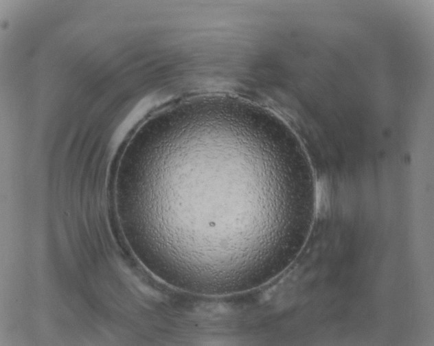 X0000063530195200601271909