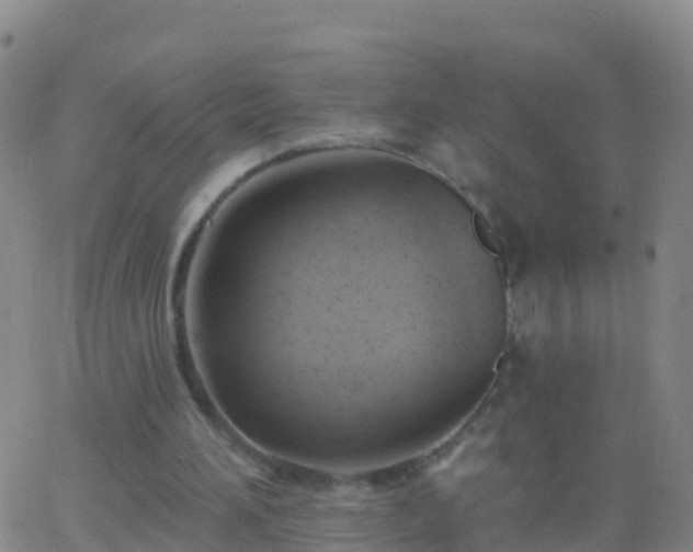 X0000063530196200601271909