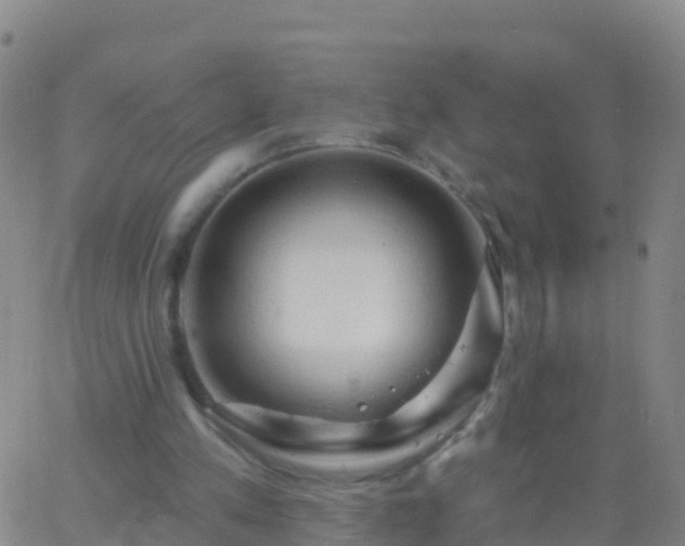 X0000063530197200601271909