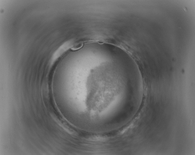 X0000063530198200601271909