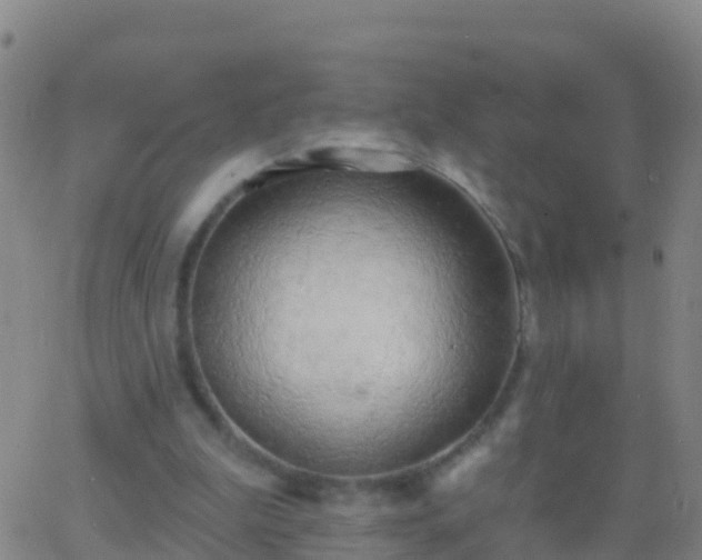 X0000063530199200601271909