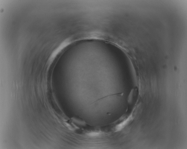 X0000063530200200601271909