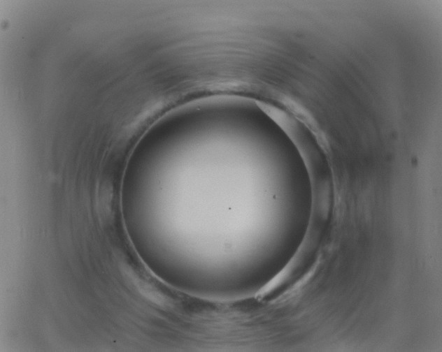 X0000063530201200601271909