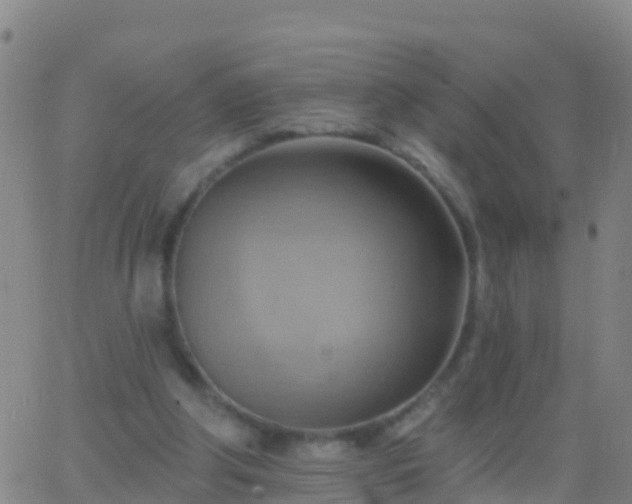 X0000063530202200601271909