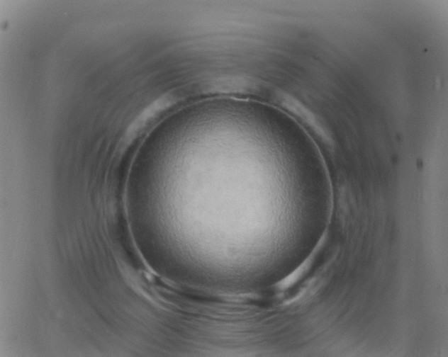 X0000063530203200601271909