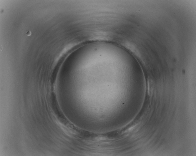 X0000063530204200601271909