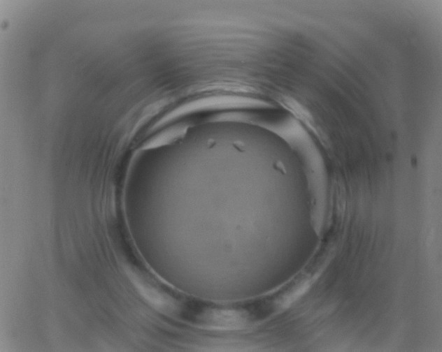 X0000063530205200601271909