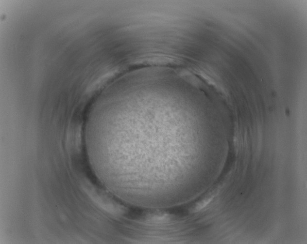 X0000063530206200601271909