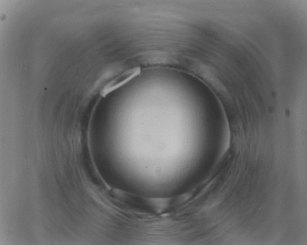 X0000063530207200601271909