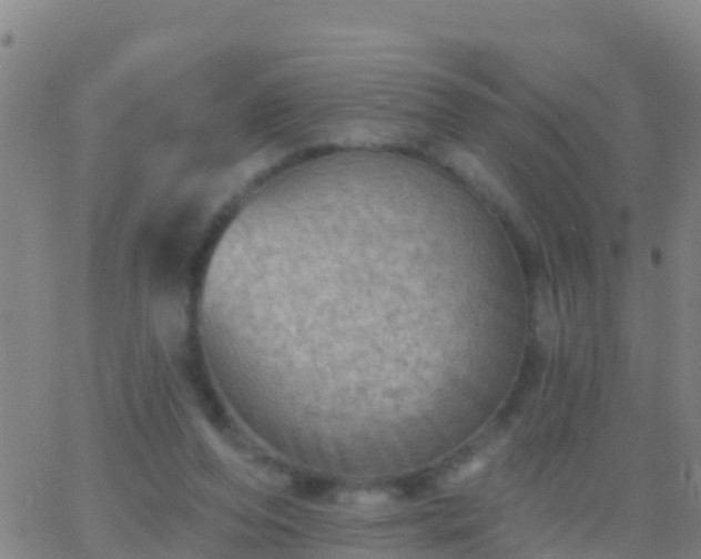 X0000063530208200601271909