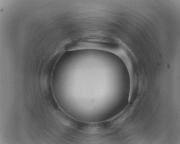 X0000063530209200601271909