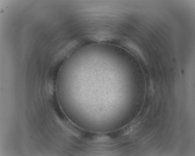 X0000063530210200601271909