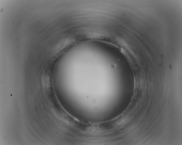 X0000063530211200601271909