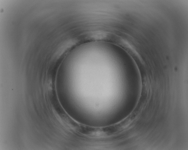 X0000063530212200601271909