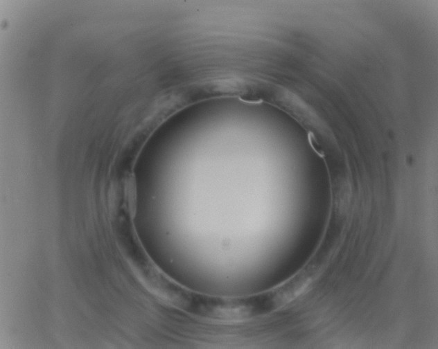 X0000063530213200601271909