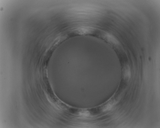 X0000063530214200601271909