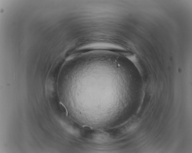 X0000063530215200601271909