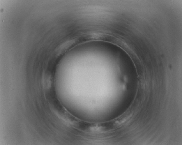 X0000063530216200601271909