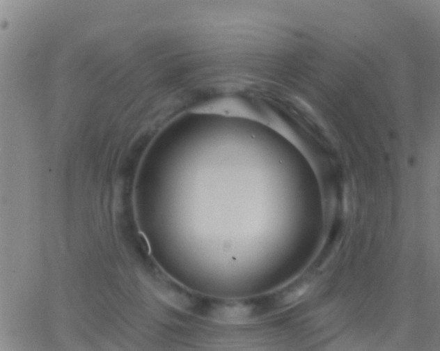 X0000063530217200601271909