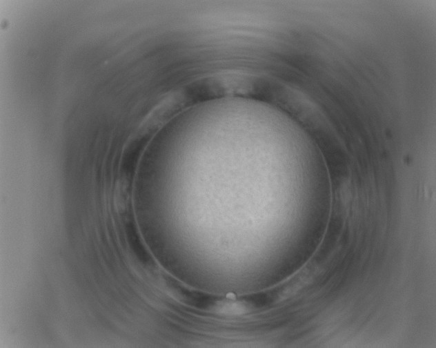 X0000063530218200601271909