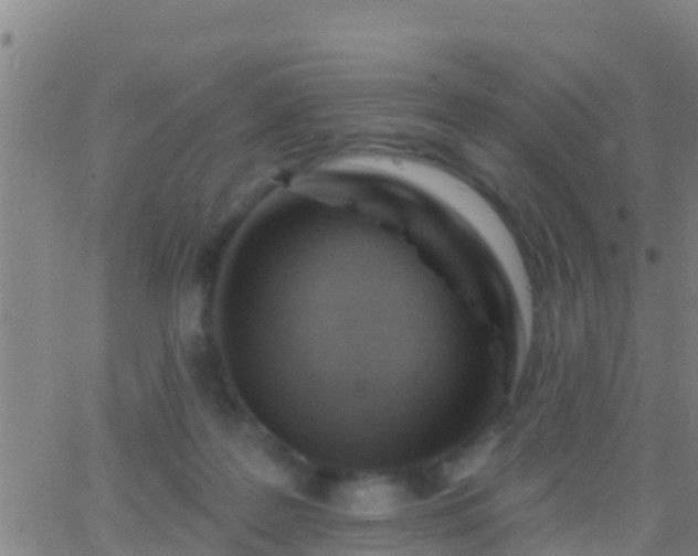 X0000063530219200601271909