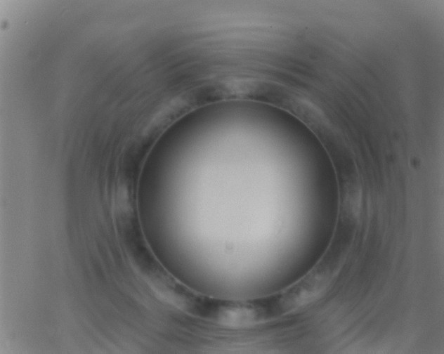 X0000063530220200601271909