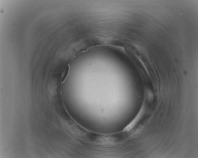 X0000063530221200601271909