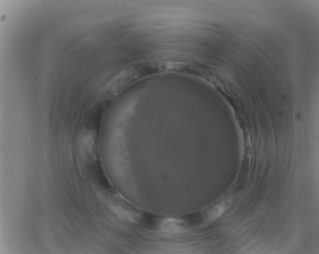 X0000063530222200601271909