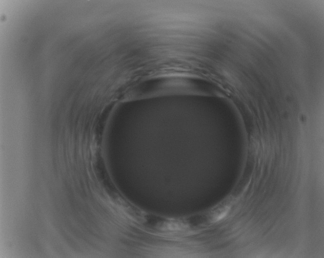 X0000063530223200601271909