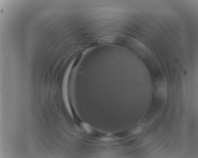 X0000063530224200601271909