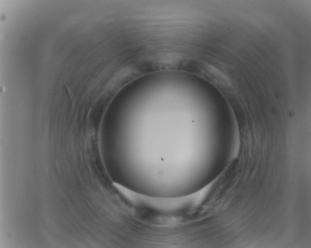 X0000063530225200601271909