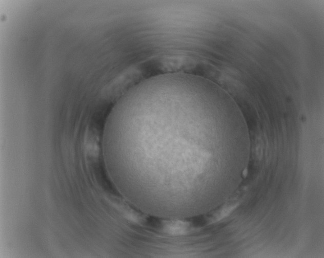 X0000063530226200601271909