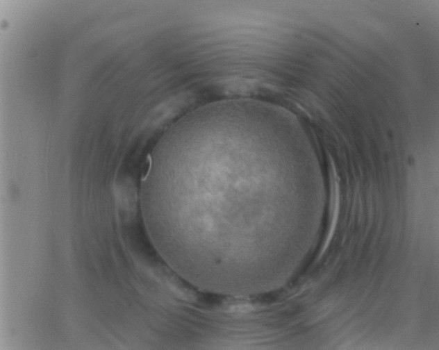 X0000063530228200601271909