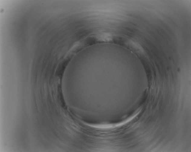 X0000063530229200601271909