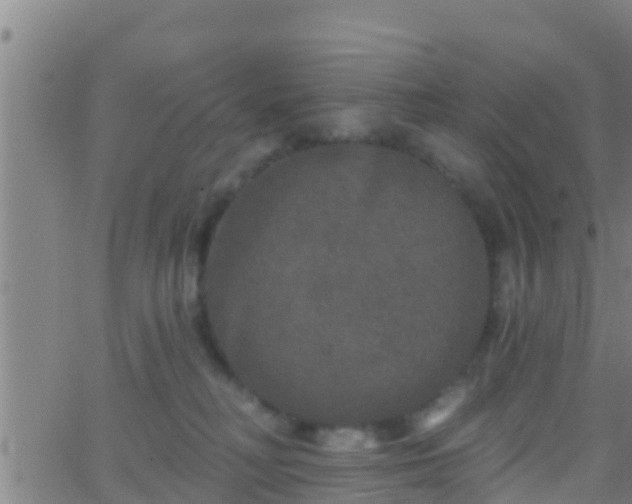 X0000063530230200601271909